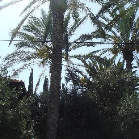 Lisa'S Farm Place Ρισόν Λε Ζιόν Δωμάτιο φωτογραφία