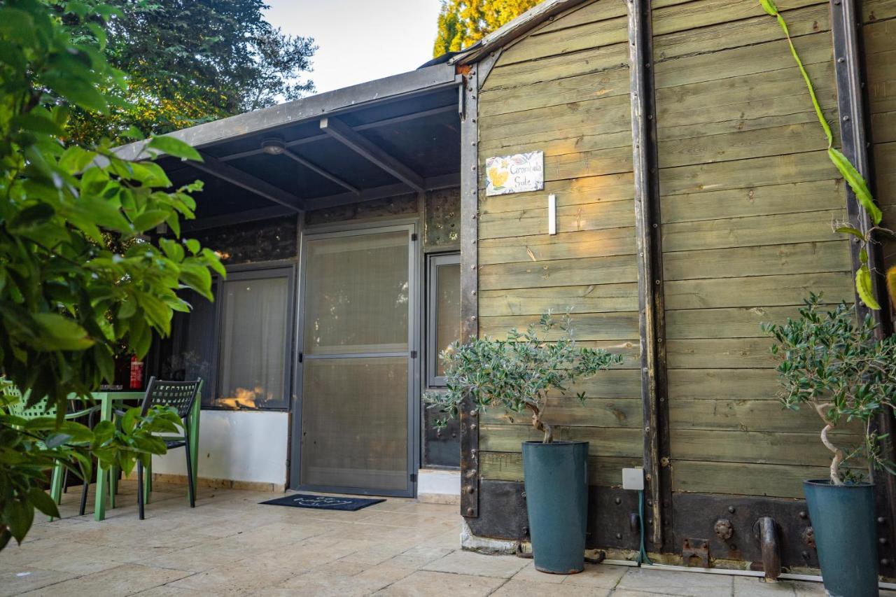 Lisa'S Farm Place Ρισόν Λε Ζιόν Εξωτερικό φωτογραφία